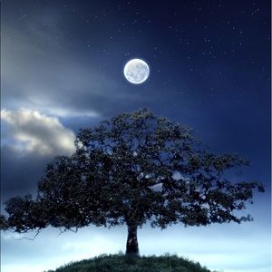 Meet your Posher, Rene